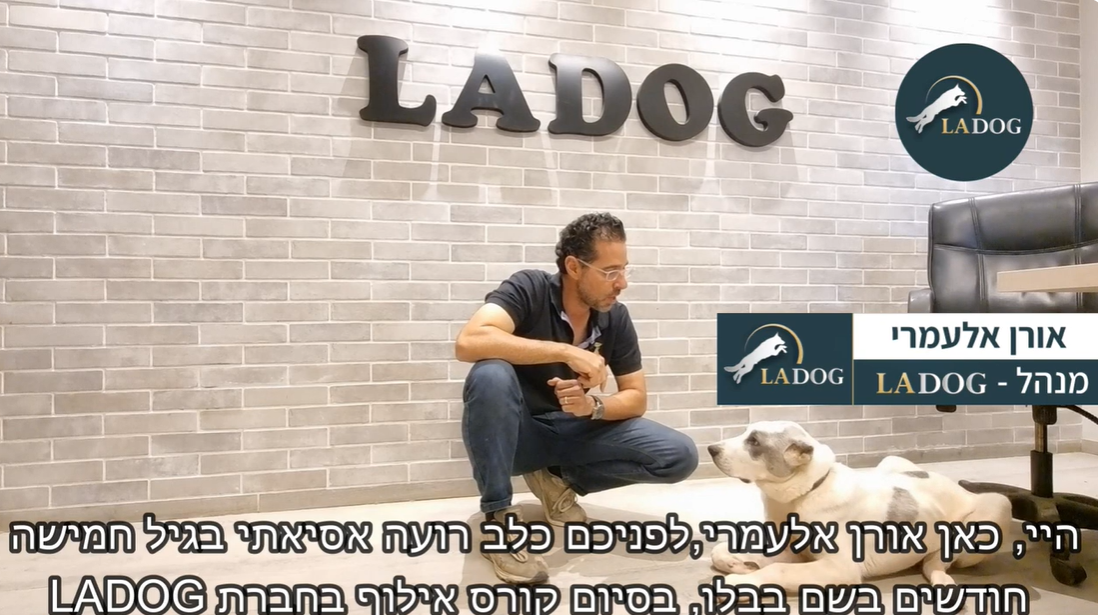 LADOG