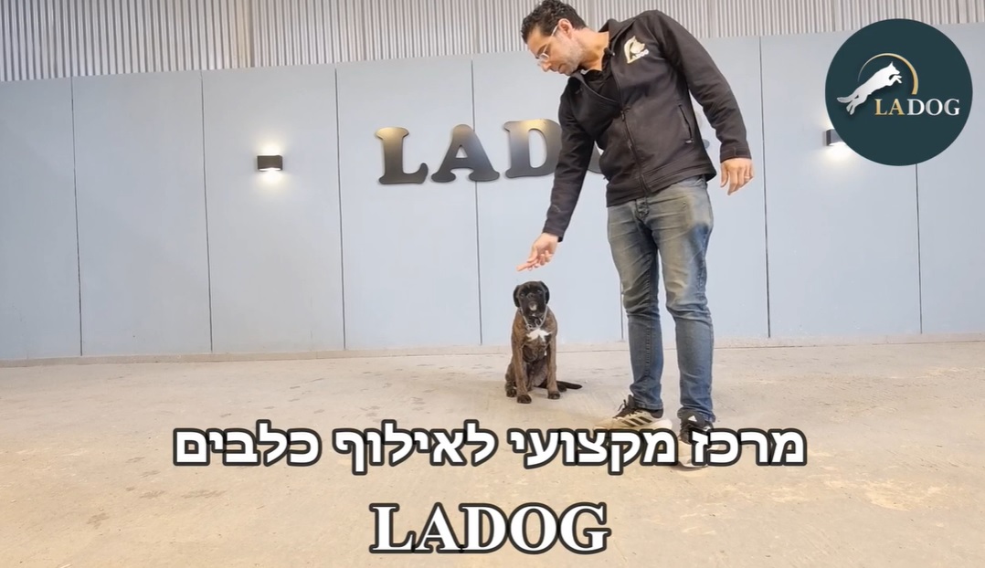 LADOG