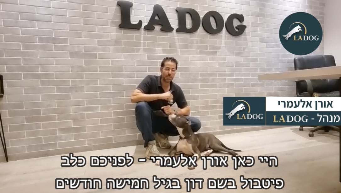 LADOG